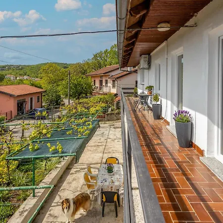 Pet Friendly In With Kitchen