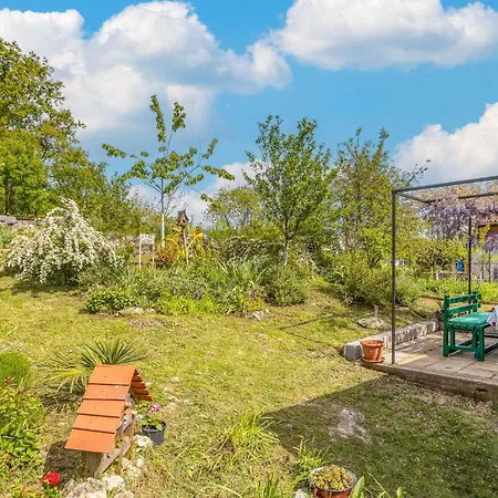 Pet Friendly In With Kitchen *