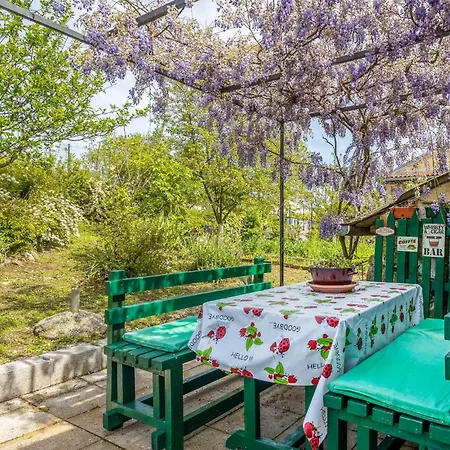 Holiday home Pet Friendly In With Kitchen *